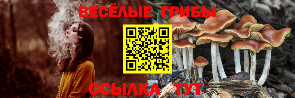 Галлюциногенные грибы ЛСД  Вход с VPN  Корсаков 